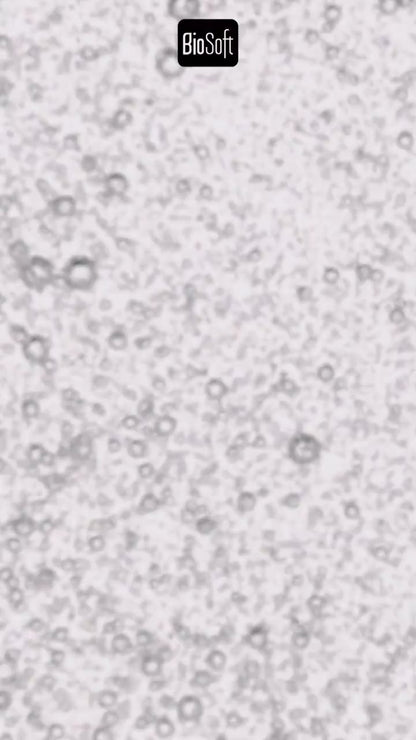 Creme Hidratante Lisa Pé Ácido Hialurônico - Sellve